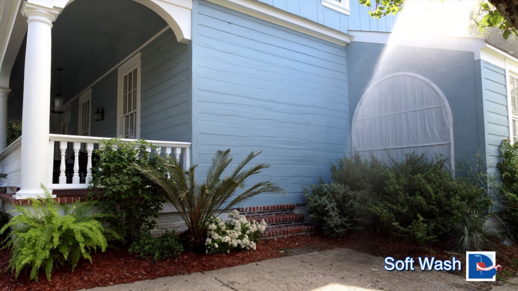 Soft washing a Charleston home with plant-safe low pressure above healthy azaleas