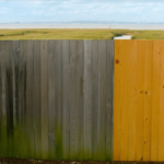 Lowcountry wood fence half weathered gray and half restored to golden cedar beside a marsh
