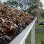 Charleston home gutter half clogged with live oak leaves and pine straw and half cleaned