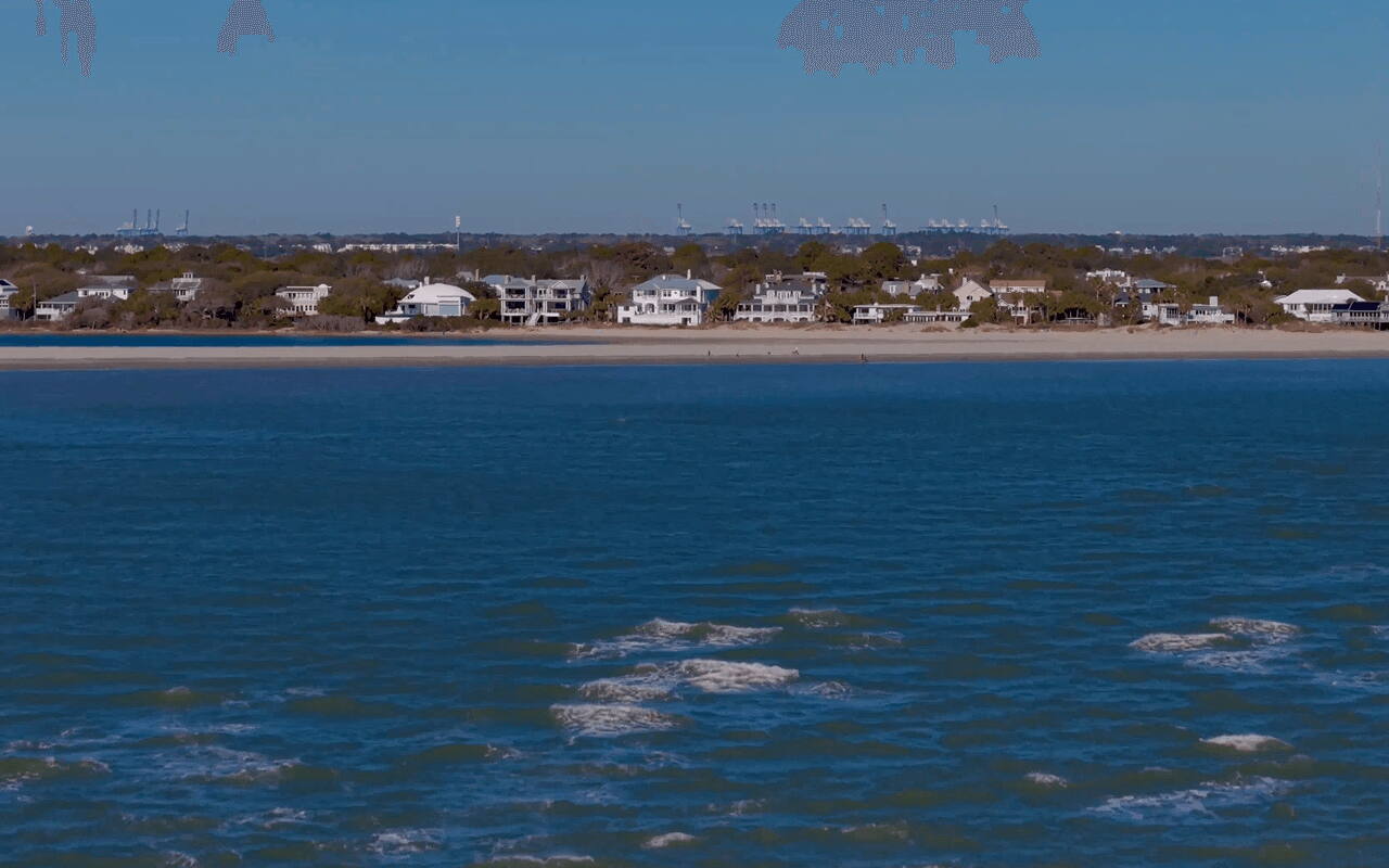 Home Services on Isle of Palms, SC